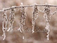 Winter 2025 - Zur Ruhe Kommen